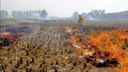 Delhi's air quality is not the sole responsibility of paddy farmers - The Hindu BusinessLine